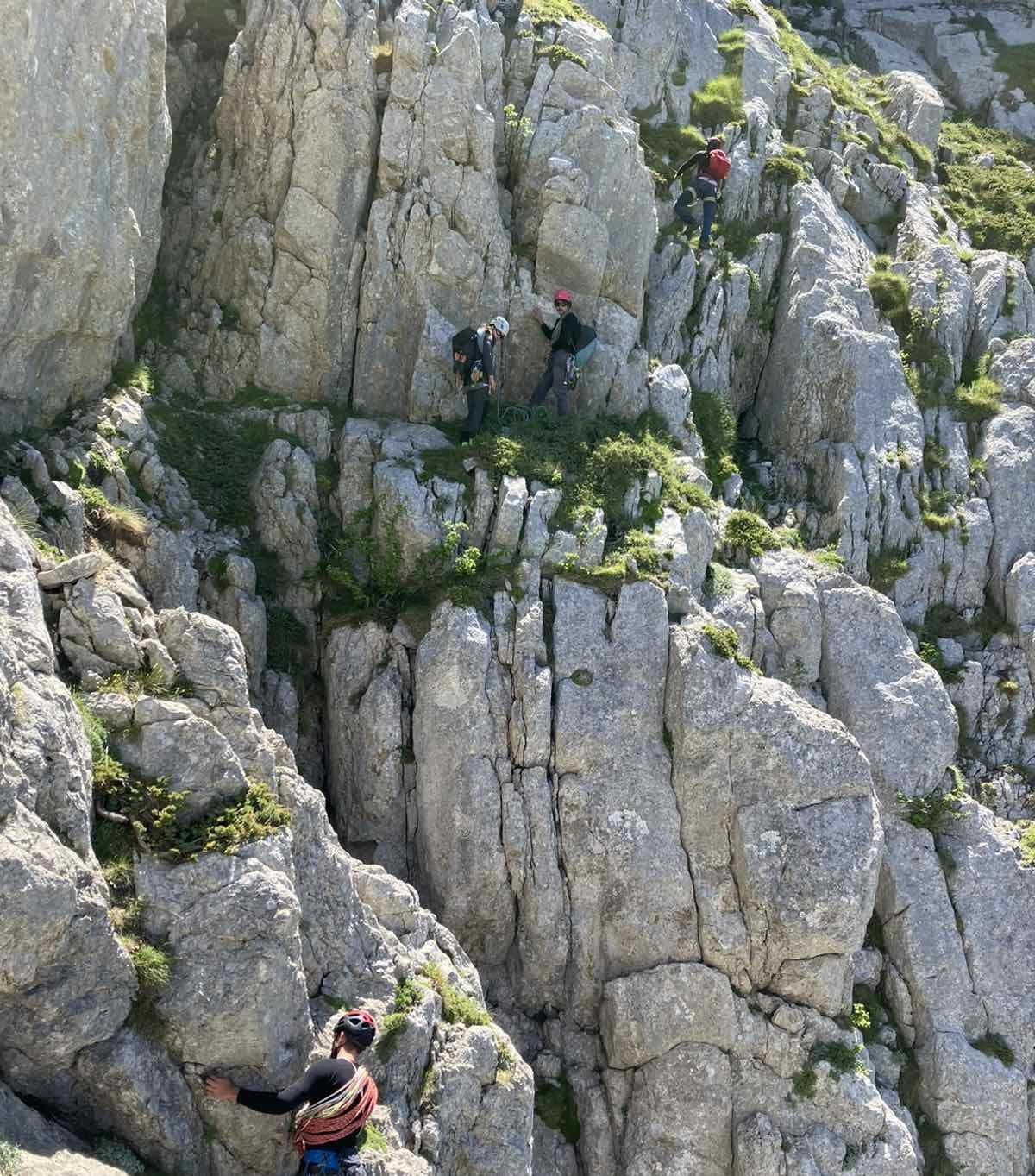 Κριάρια μεσ' το ζάστανο